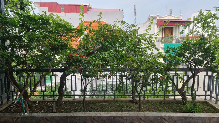 BÁN NHÀ PHỐ HIỆN ĐẠI – GẦN AEON MALL LÊ CHÂN, HẢI PHÒNG – TIỆN KINH DOANH 